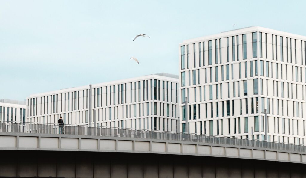 A modern bridge with a person walking and seagulls flying over urban buildings.